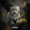 Тибетский Манул