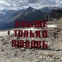 золотой кот