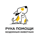Рука помощи бездомным животным