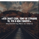 Щитоносный броненосец