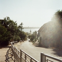 Бухарский Олень