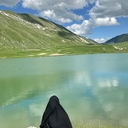 Алж