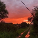Серебристая Чайка