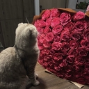 БисмиЛлях❤️