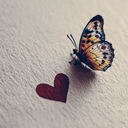 Iks_13