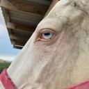 Za.