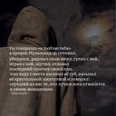 Сумчатый Волк