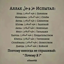 Жёсткий Тушканчик