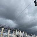 Степной лунь