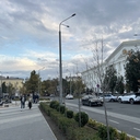Японский Гладкий Кит