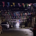 Ластоногий Тюлень