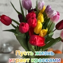 Бухарский Олень