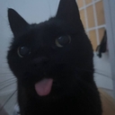 ….