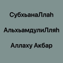 Чернозобая гагара