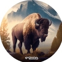 European Bison 2