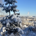 Башкирский Лев