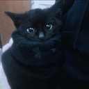 mira
