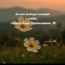 Большая Дрофа