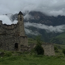 Северо-Атлантическая Кайра