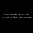 Большая белая куропатка
