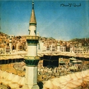 Tauba