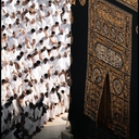 Обыкновенная медянка