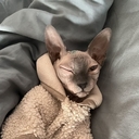 А