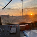 Речной мангабей