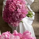 عاليه