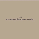 Летучая Лисица