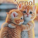 Рыжий Котёнок