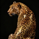 Айгюн