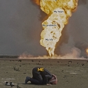 Волк