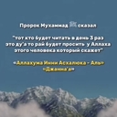 Кряква Селезень
