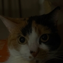 Миленоччка