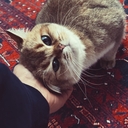 Kama