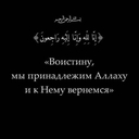 Чибис