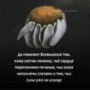 Айшат