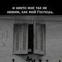 Кенгуру Шоумейера