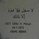 Индский Дельфин