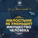 Розовый пеликан
