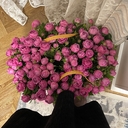 Азиатский бобр