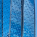 Чернозобая Гагара