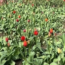 Ля Илляхьа Иллалахь