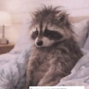 ГОА