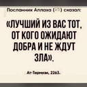 Амурский Тигр
