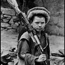 Ручной Дракон