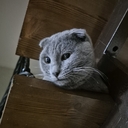 Дон