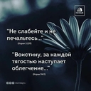 О Умма Пора Действовать