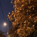Мари